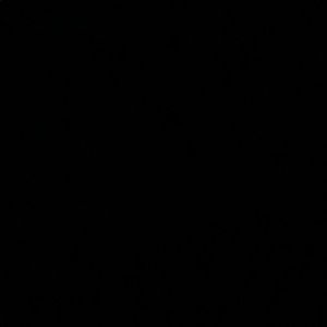 Meet your Posher, Jayla